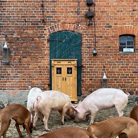 Bauernhof-Streichel-Zoo-Kombi-Familien-Suite-Im-Wald-Am-See Gulow Dış mekan fotoğraf