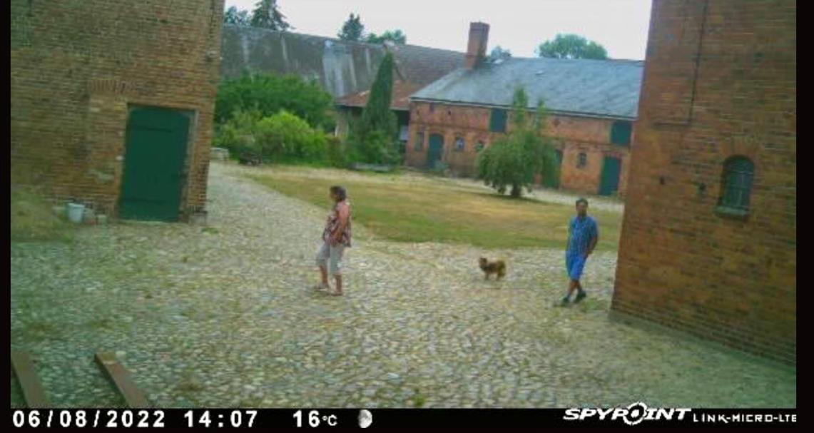 Bauernhof-Streichel-Zoo-Kombi-Familien-Suite-Im-Wald-Am-See Gulow Dış mekan fotoğraf