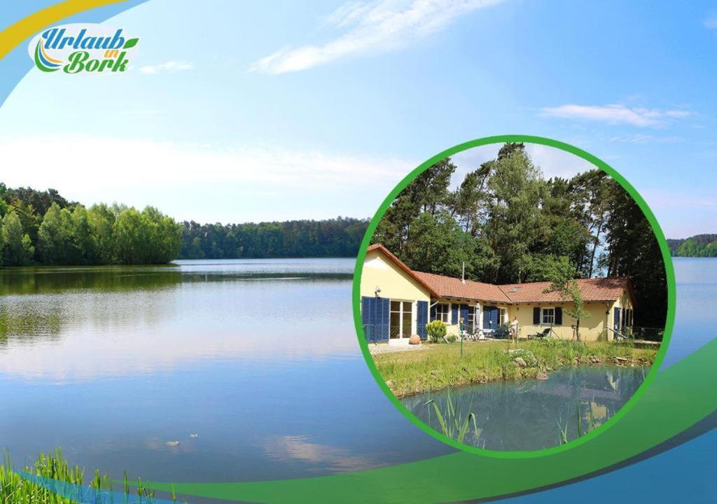Bauernhof-Streichel-Zoo-Kombi-Familien-Suite-Im-Wald-Am-See Gulow Dış mekan fotoğraf